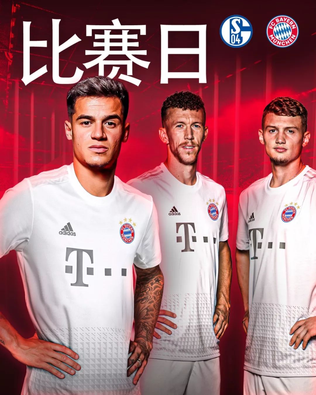 不仅标